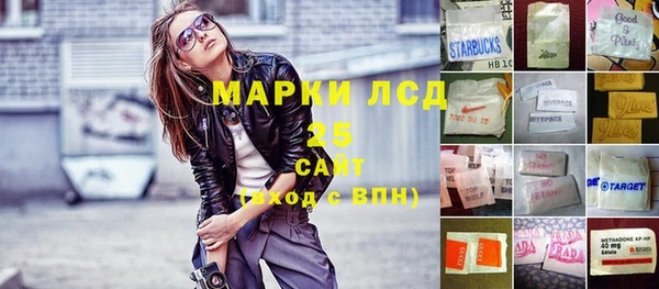 ПСИЛОЦИБИНОВЫЕ ГРИБЫ Алексеевка