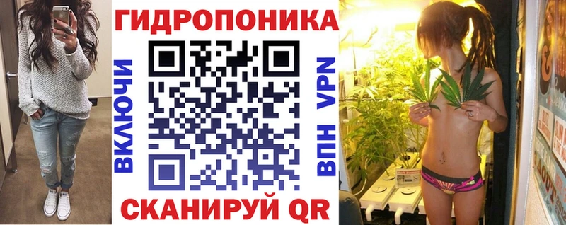 Шишки марихуана марихуана  закладки  Лагань 